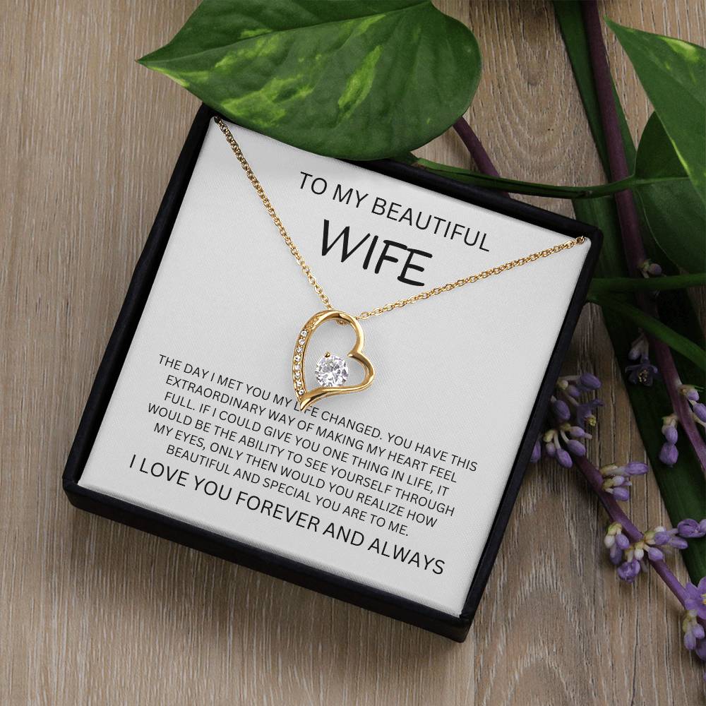 TO MY BEAUTIFUL WIFE